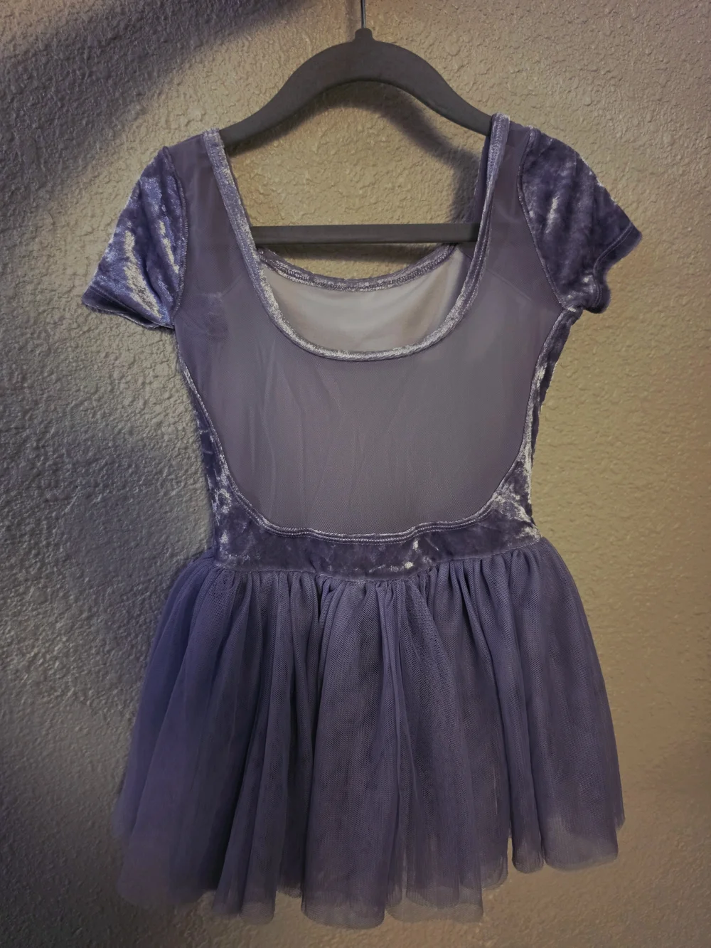 Bloch Lavender Velvet and Tulle Ballet Costume